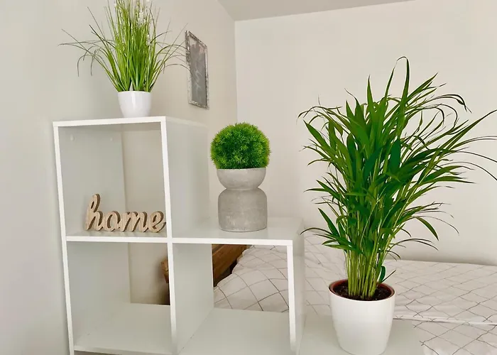 Bright Modern Flat With Balcony Apartment *